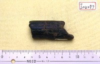 藏品(鹿角一段)的圖片